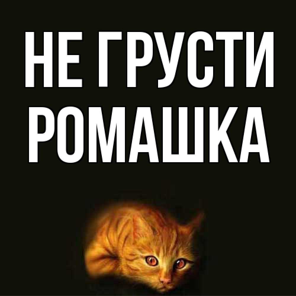 Открытка на каждый день с именем, Ромашка Не грусти лежащий кот в темноте Прикольная открытка с пожеланием онлайн скачать бесплатно 