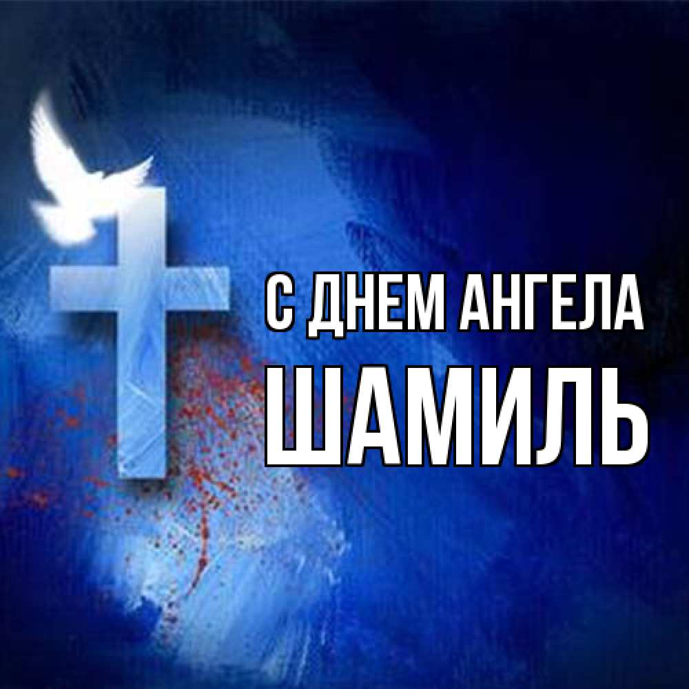 Открытка на каждый день с именем, Шамиль С днем ангела Синий фон и птица Прикольная открытка с пожеланием онлайн скачать бесплатно 