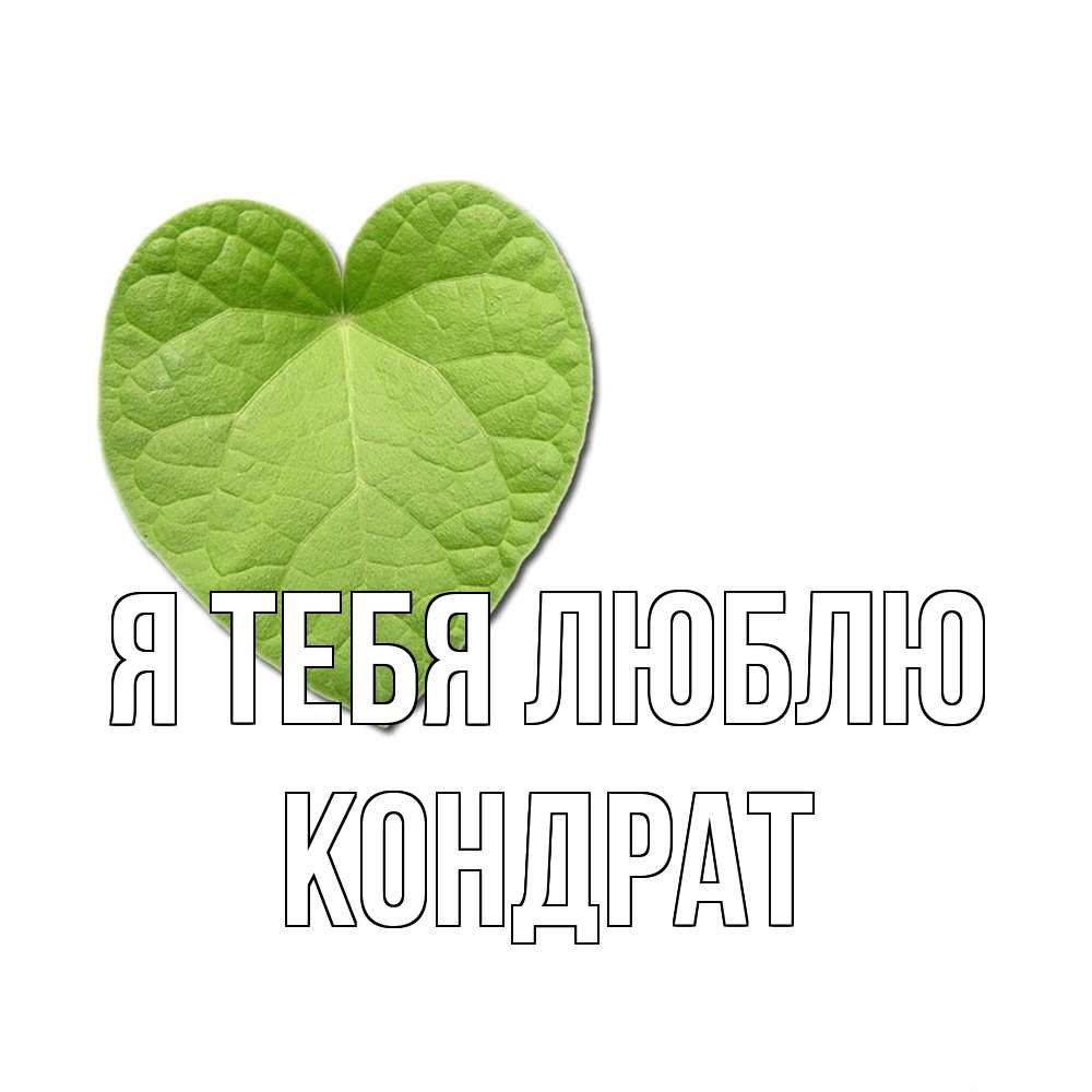Открытка на каждый день с именем, Кондрат Я тебя люблю тебе Прикольная открытка с пожеланием онлайн скачать бесплатно 