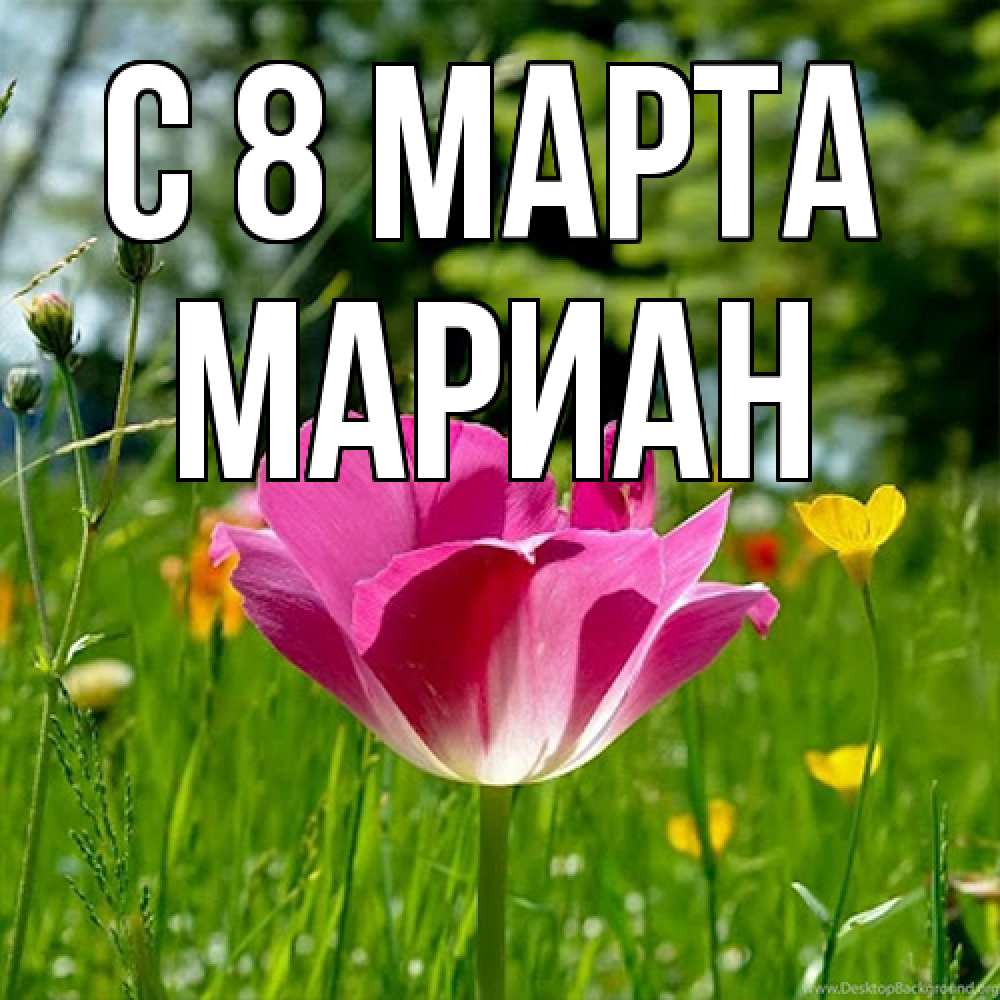 Открытка на каждый день с именем, Мариан C 8 МАРТА полевые цветы Прикольная открытка с пожеланием онлайн скачать бесплатно 