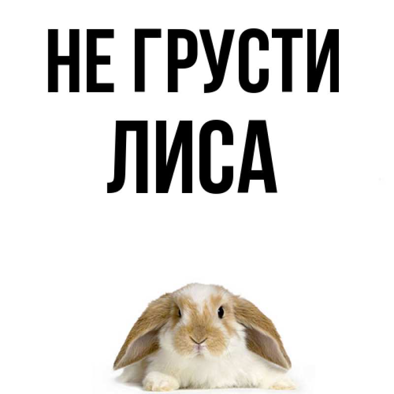 Картинка Не грусти, лиса