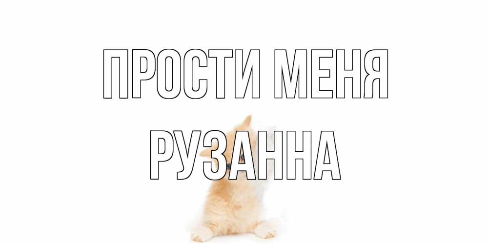 Открытка на каждый день с именем, Рузанна Прости меня кот Прикольная открытка с пожеланием онлайн скачать бесплатно 