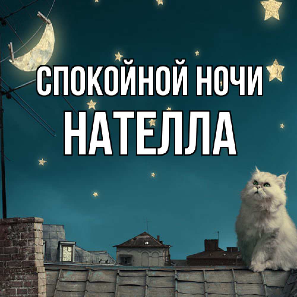 Открытка на каждый день с именем, Нателла Спокойной ночи белый кот сидит на крыше Прикольная открытка с пожеланием онлайн скачать бесплатно 