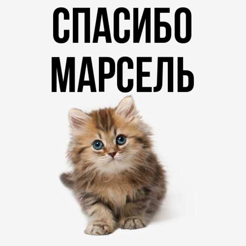 Картинка Спасибо, Марсель