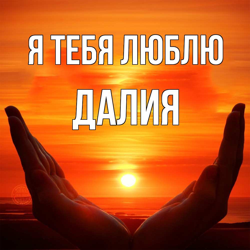 Открытка на каждый день с именем, Далия Я тебя люблю в руках Прикольная открытка с пожеланием онлайн скачать бесплатно 