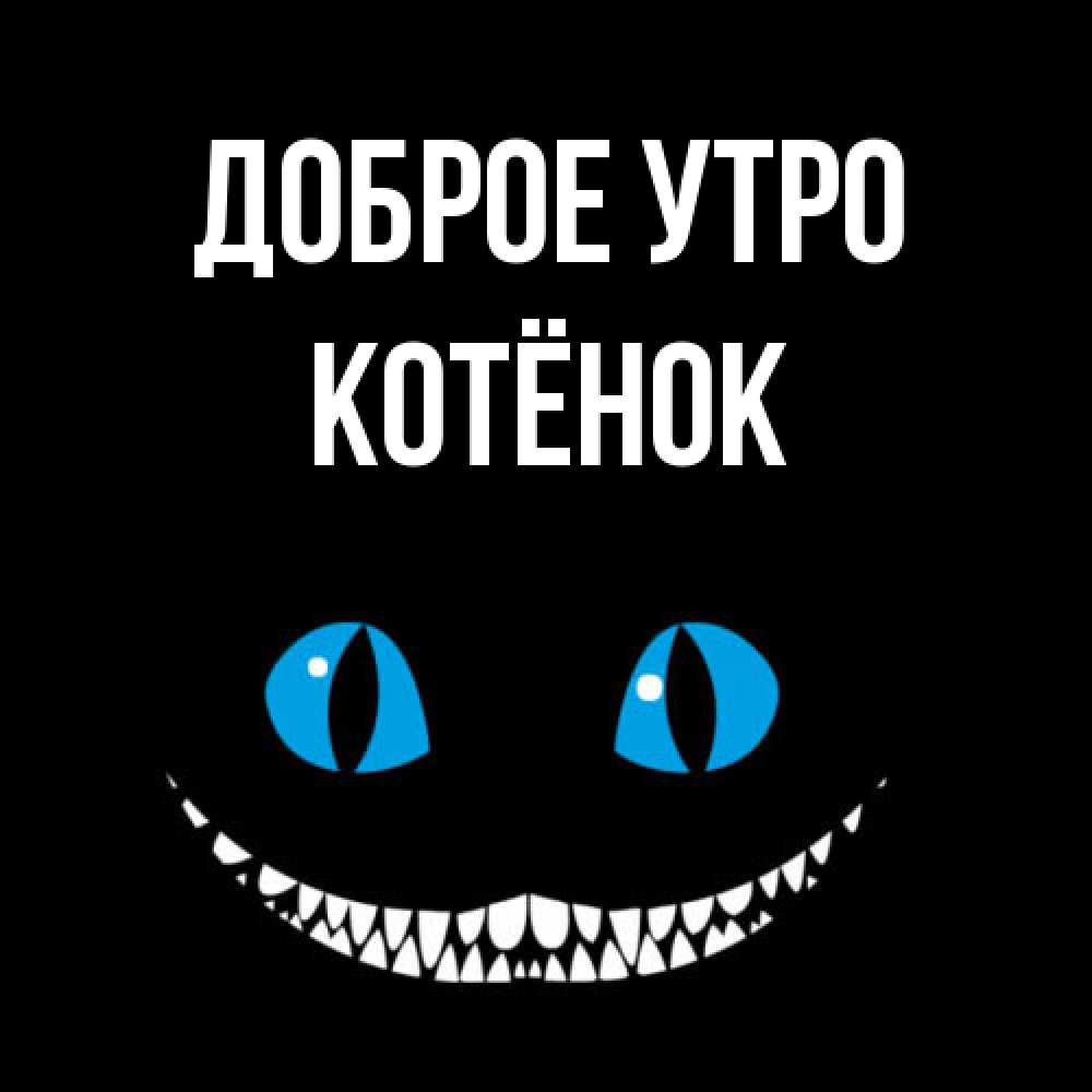 Открытка на каждый день с именем, Котёнок Доброе утро голубые глаза и зубки Прикольная открытка с пожеланием онлайн скачать бесплатно 
