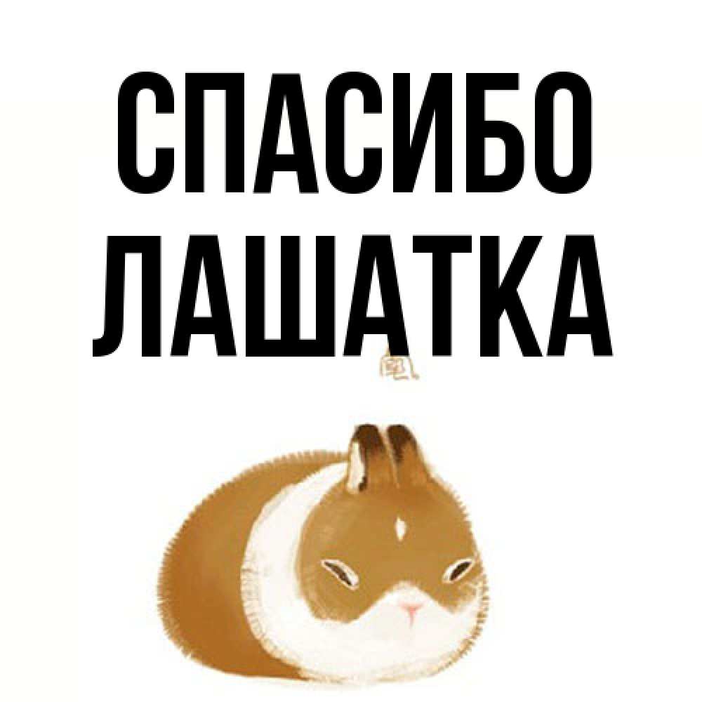 Открытка на каждый день с именем, Лашатка Спасибо коричнево белый домашний питомец Прикольная открытка с пожеланием онлайн скачать бесплатно 