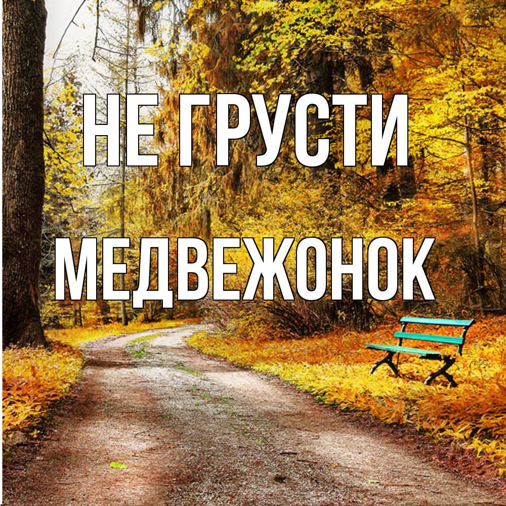 Открытка на каждый день с именем, медвежонок Не грусти зеленая лавочка Прикольная открытка с пожеланием онлайн скачать бесплатно 