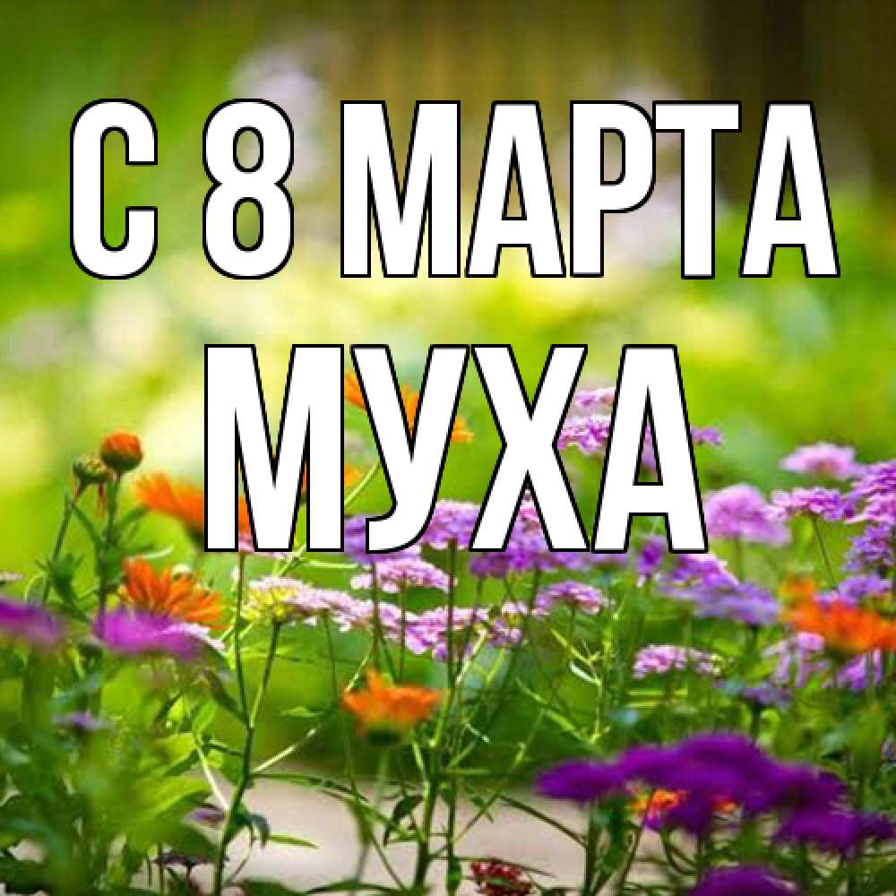 Открытка на каждый день с именем, Муха C 8 МАРТА цветы Прикольная открытка с пожеланием онлайн скачать бесплатно 