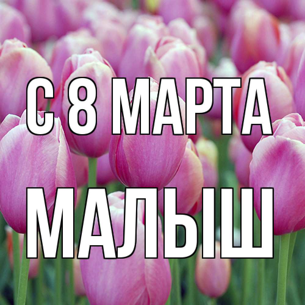 Открытка на каждый день с именем, Малыш C 8 МАРТА на международный женский день 3 Прикольная открытка с пожеланием онлайн скачать бесплатно 