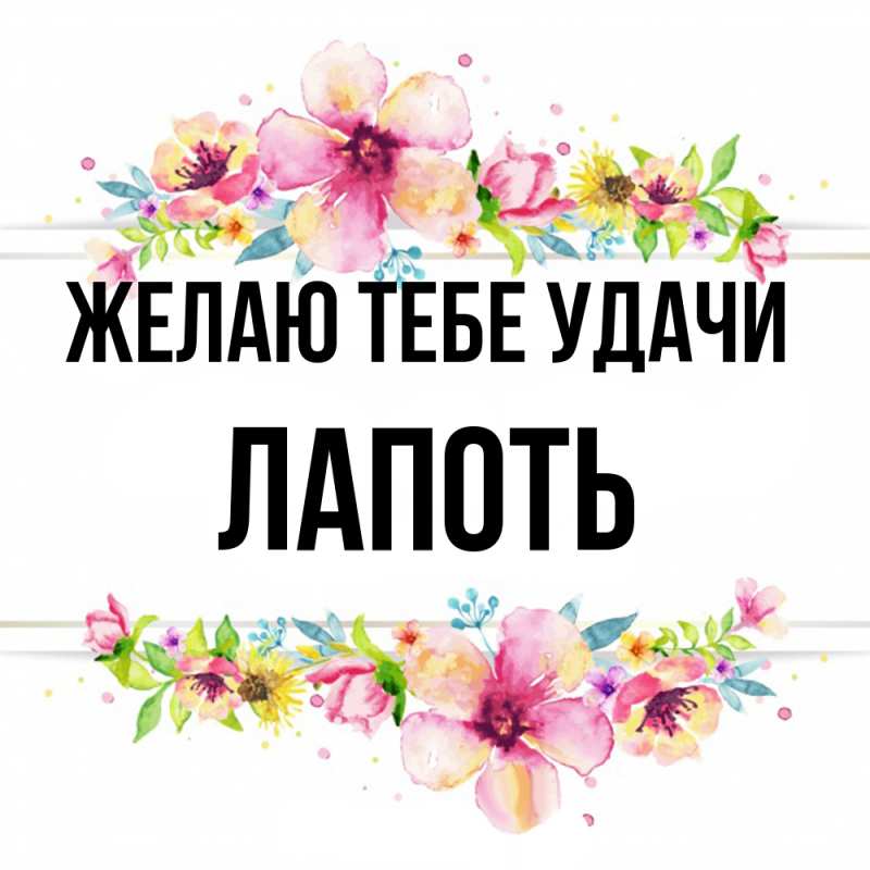 Картинка Желаю тебе удачи, Лапоть