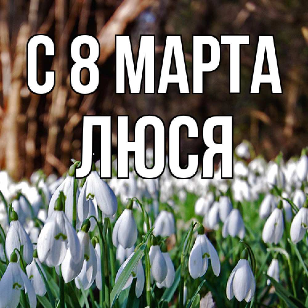 Открытка на каждый день с именем, Люся C 8 МАРТА с подснежниками 1 Прикольная открытка с пожеланием онлайн скачать бесплатно 