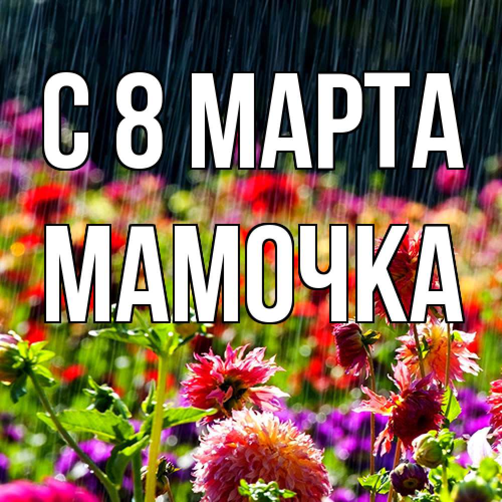 Открытка на каждый день с именем, Мамочка C 8 МАРТА цветы под дождиком к международному женскому дню Прикольная открытка с пожеланием онлайн скачать бесплатно 