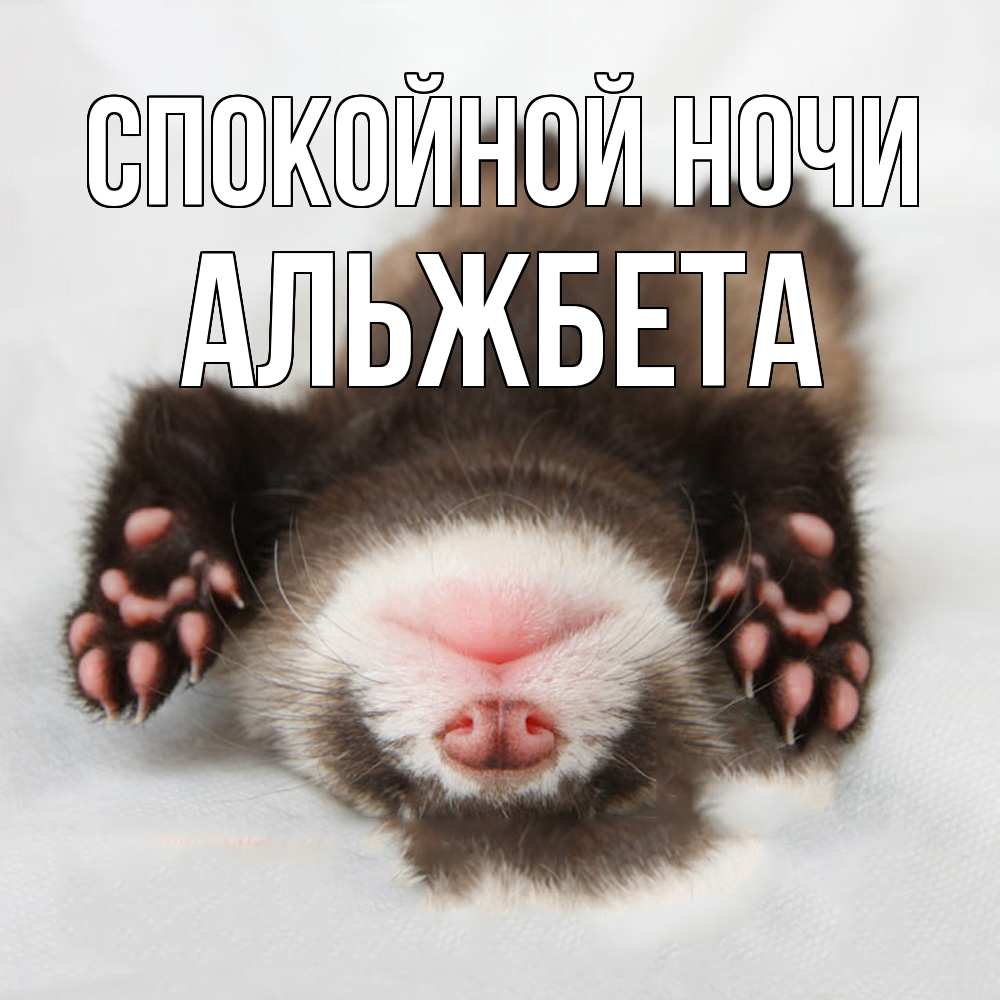Открытка на каждый день с именем, Альжбета Спокойной ночи зверек Прикольная открытка с пожеланием онлайн скачать бесплатно 