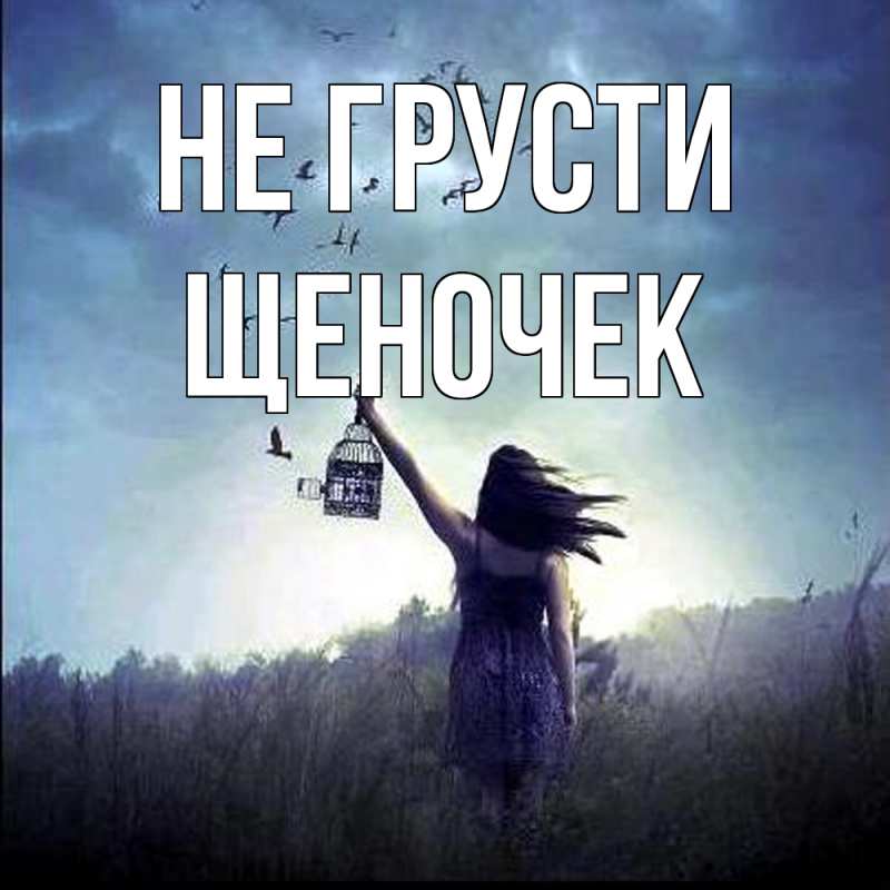 Картинка Не грусти, Щеночек