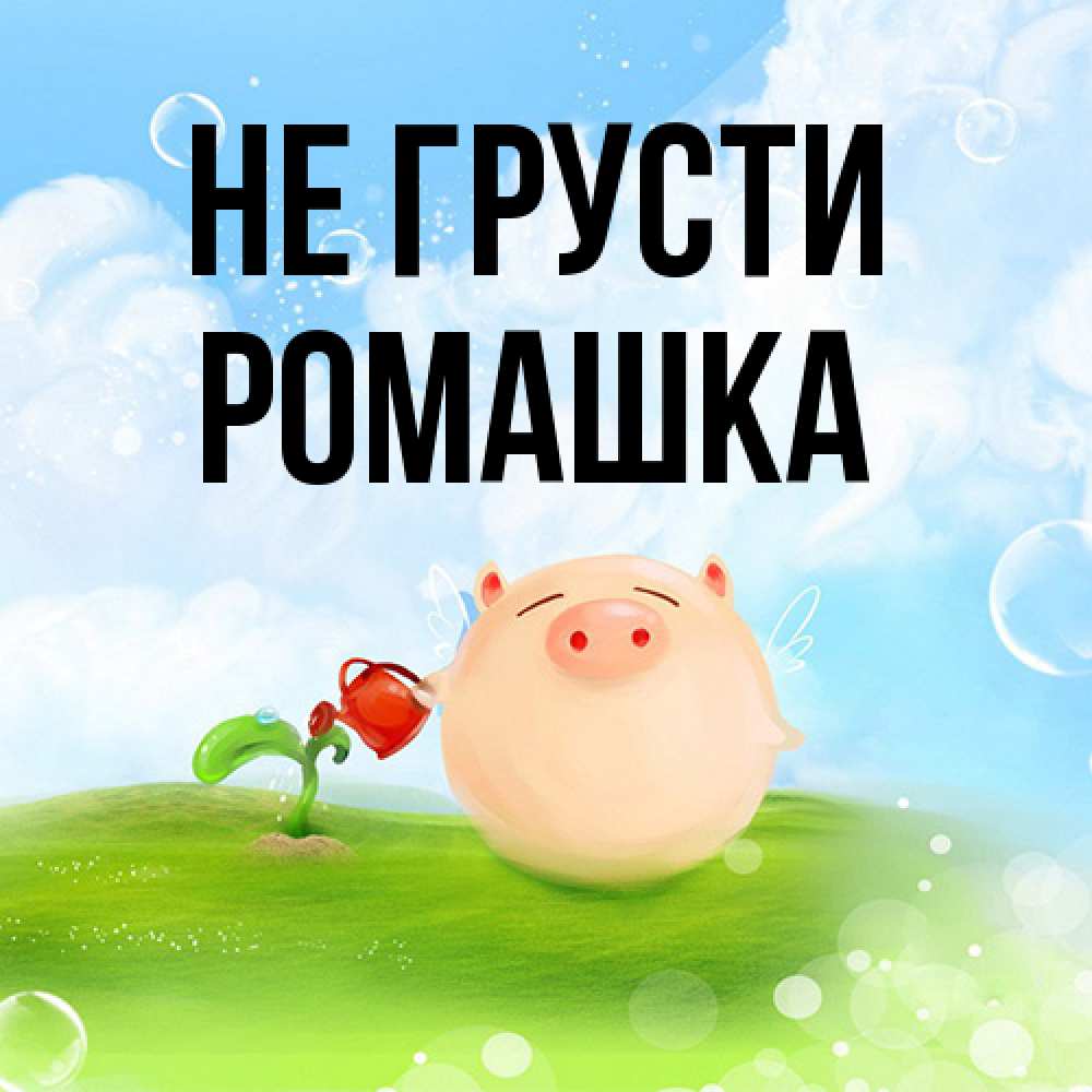 Открытка на каждый день с именем, Ромашка Не грусти поливает цветок порося Прикольная открытка с пожеланием онлайн скачать бесплатно 