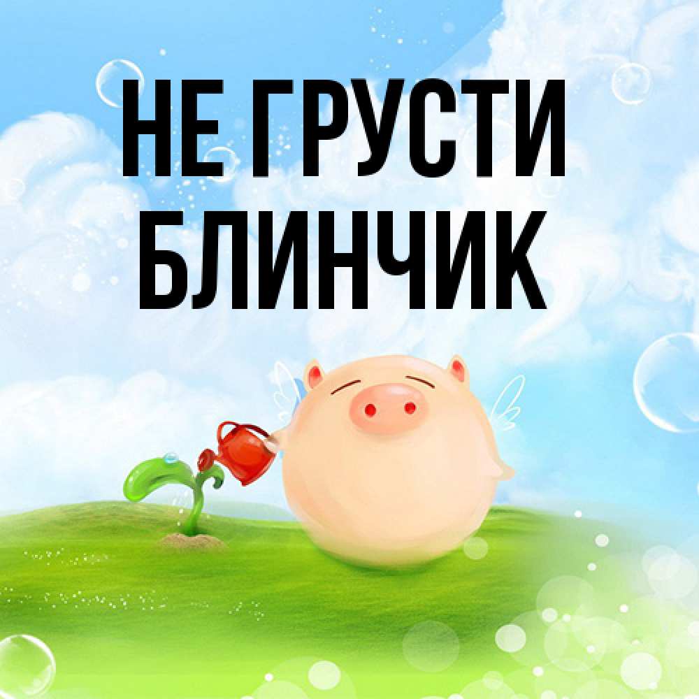 Открытка на каждый день с именем, Блинчик Не грусти поливает цветок порося Прикольная открытка с пожеланием онлайн скачать бесплатно 