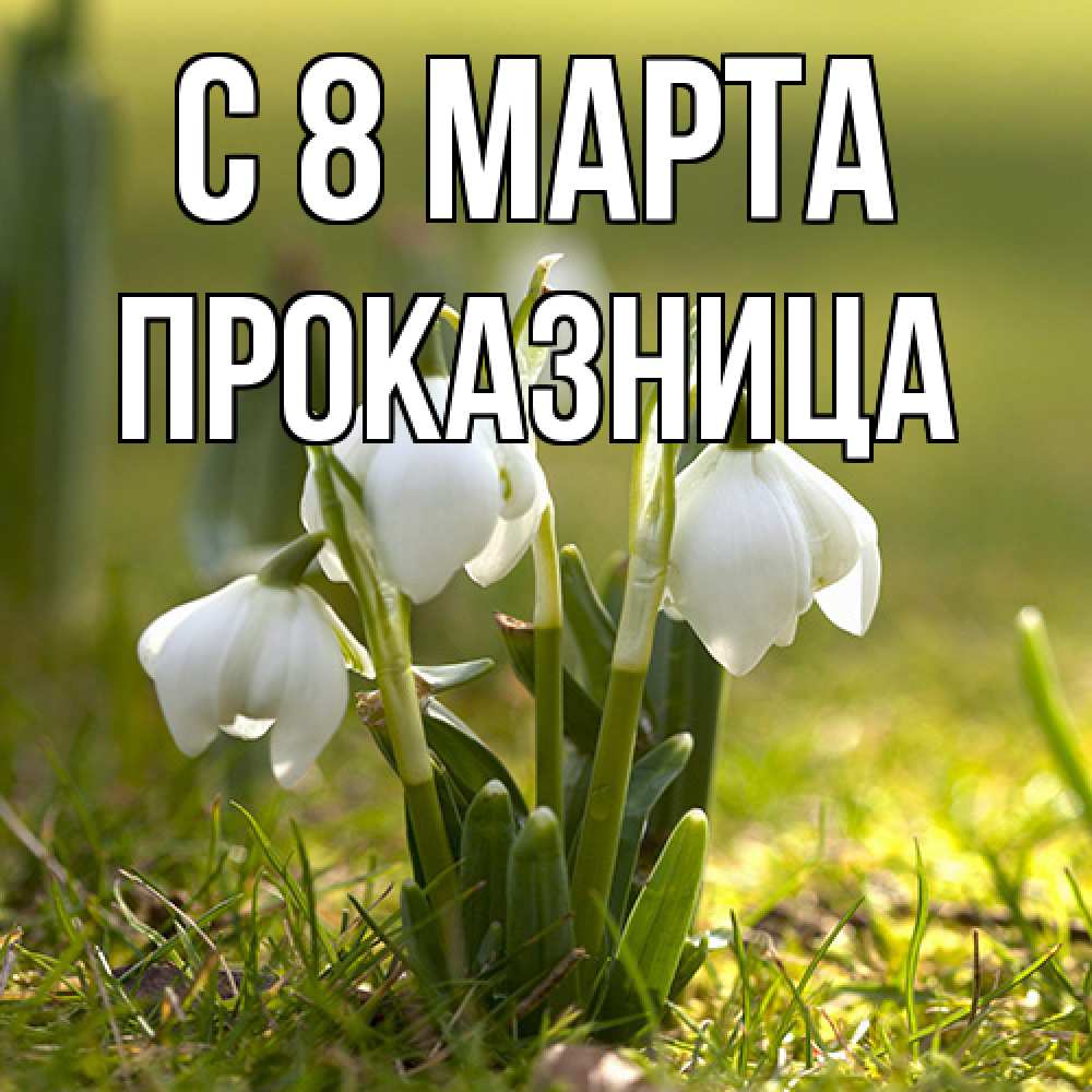 Открытка на каждый день с именем, Проказница C 8 МАРТА ранние цветы 2 Прикольная открытка с пожеланием онлайн скачать бесплатно 