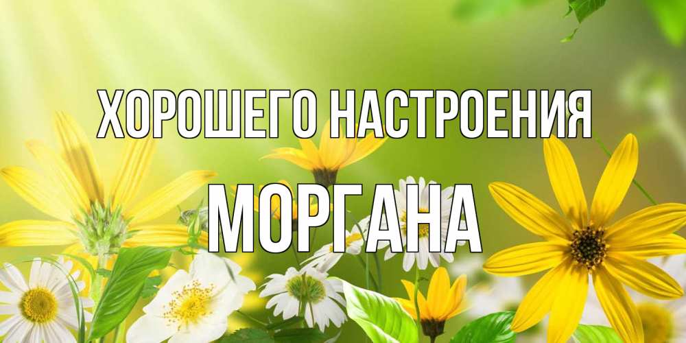 Открытка на каждый день с именем, Моргана Хорошего настроения цветы Прикольная открытка с пожеланием онлайн скачать бесплатно 