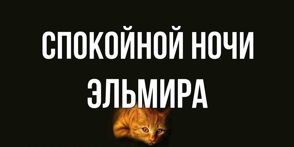 Открытка на каждый день с именем, Эльмира Спокойной ночи кот Прикольная открытка с пожеланием онлайн скачать бесплатно 