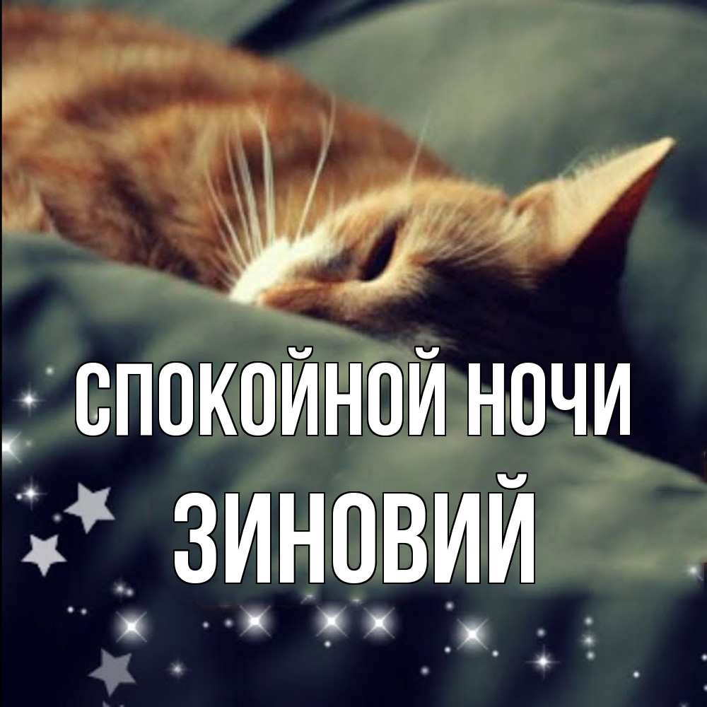 Открытка на каждый день с именем, Зиновий Спокойной ночи кроватка Прикольная открытка с пожеланием онлайн скачать бесплатно 