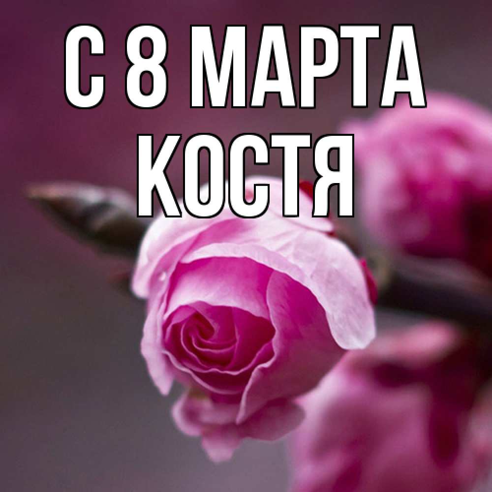 Открытка на каждый день с именем, Костя C 8 МАРТА весна Прикольная открытка с пожеланием онлайн скачать бесплатно 