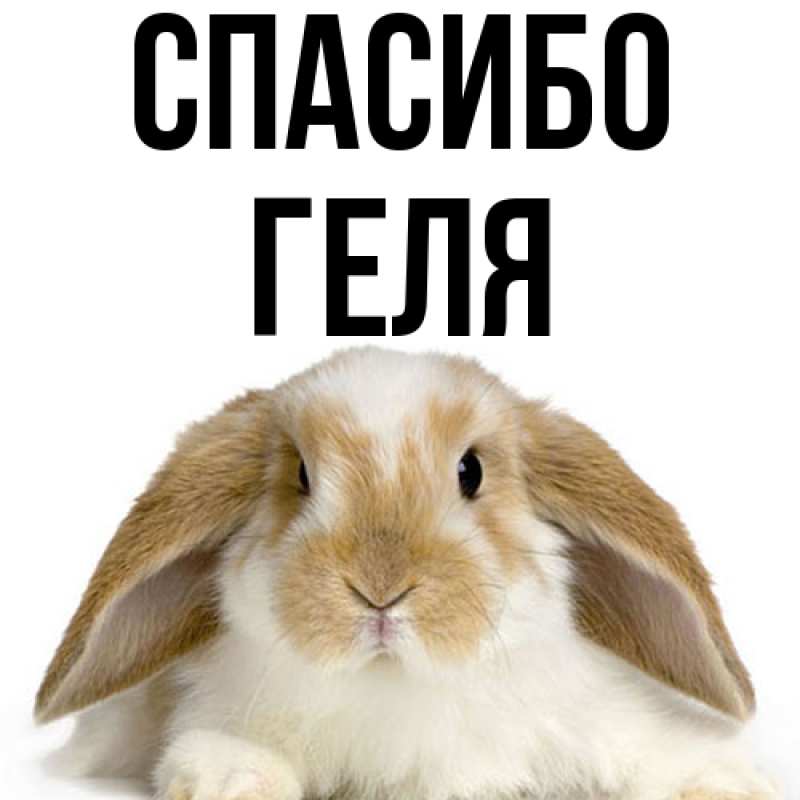 Картинка Спасибо, Геля