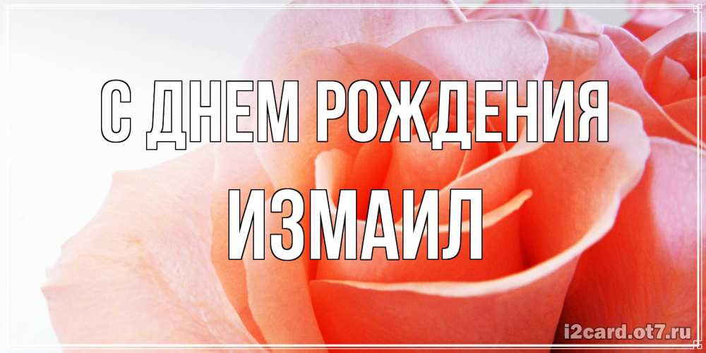 Открытка на каждый день с именем, Измаил С днем рождения розы для поздравления с днем рождения Прикольная открытка с пожеланием онлайн скачать бесплатно 