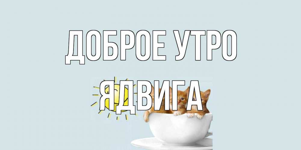 Открытка на каждый день с именем, Ядвига Доброе утро котята Прикольная открытка с пожеланием онлайн скачать бесплатно 