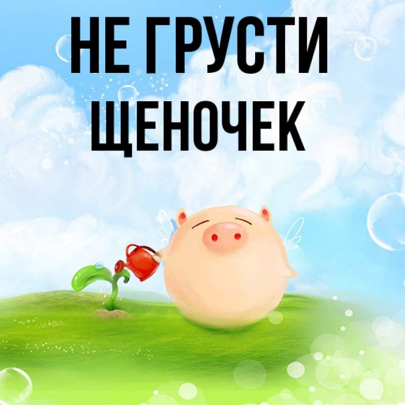 Картинка Не грусти, Щеночек