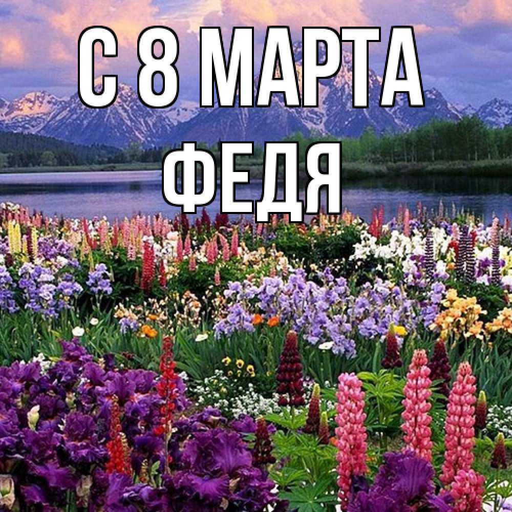 Открытка на каждый день с именем, Федя C 8 МАРТА международный женский день Прикольная открытка с пожеланием онлайн скачать бесплатно 