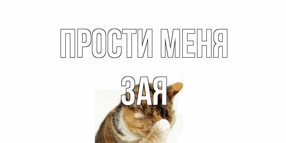Открытка на каждый день с именем, Зая Прости меня кот Прикольная открытка с пожеланием онлайн скачать бесплатно 