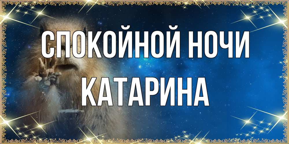 Открытка на каждый день с именем, Катарина Спокойной ночи спокойной ночи сладких снов Прикольная открытка с пожеланием онлайн скачать бесплатно 