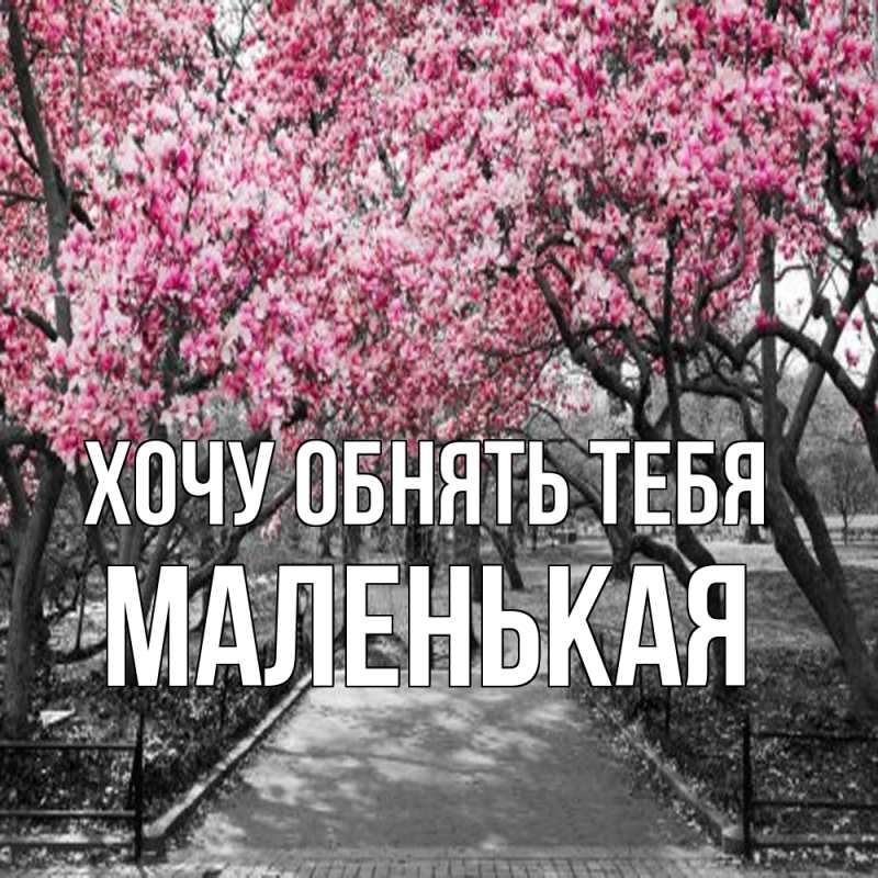 Картинка Хочу обнять тебя, Маленькая
