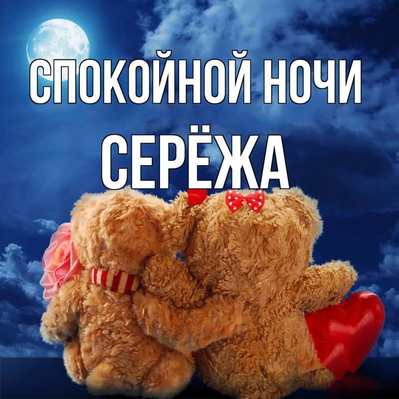 Картинка Спокойной ночи, Серёжа