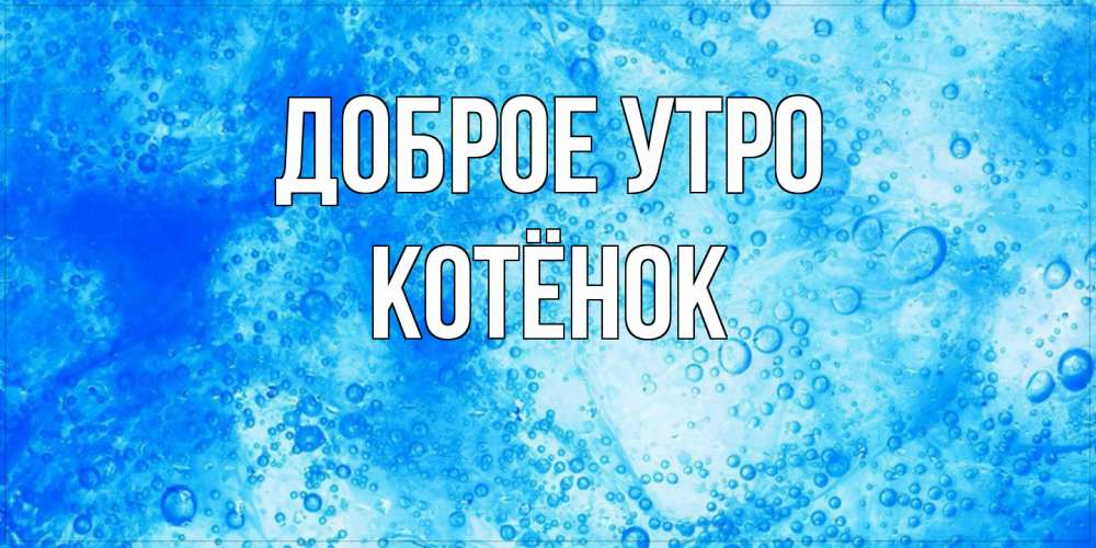 Открытка на каждый день с именем, Котёнок Доброе утро хорошее утро под водой Прикольная открытка с пожеланием онлайн скачать бесплатно 