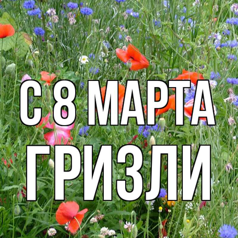 Картинка C 8 МАРТА, Гризли