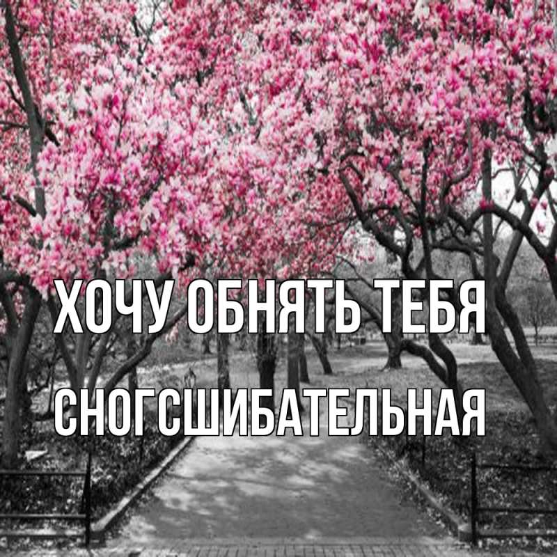 Картинка Хочу обнять тебя, сногсшибательная