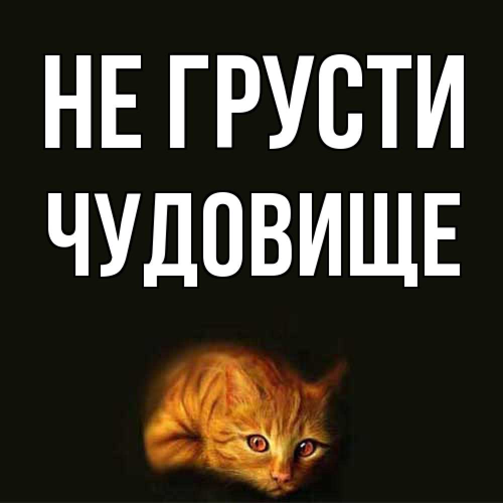 Открытка на каждый день с именем, Чудовище Не грусти лежащий кот в темноте Прикольная открытка с пожеланием онлайн скачать бесплатно 