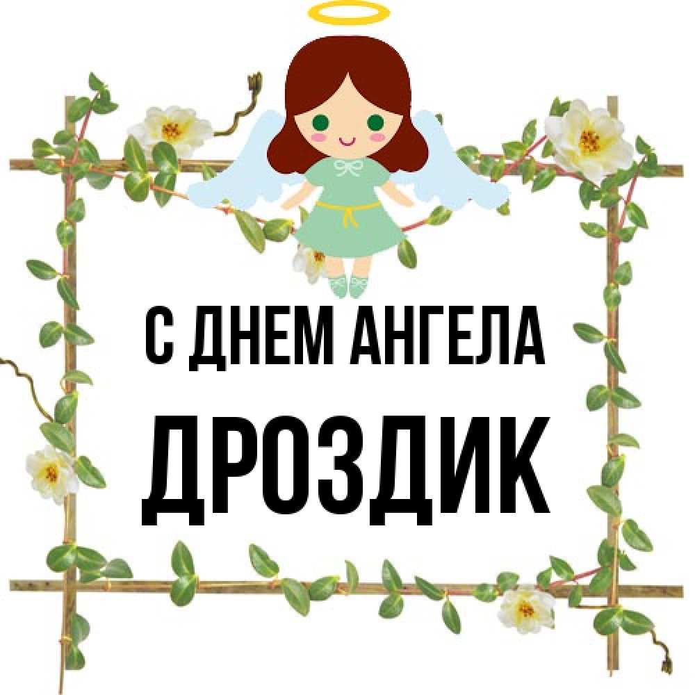 Открытка на каждый день с именем, Дроздик С днем ангела Ангел с нимбом Прикольная открытка с пожеланием онлайн скачать бесплатно 