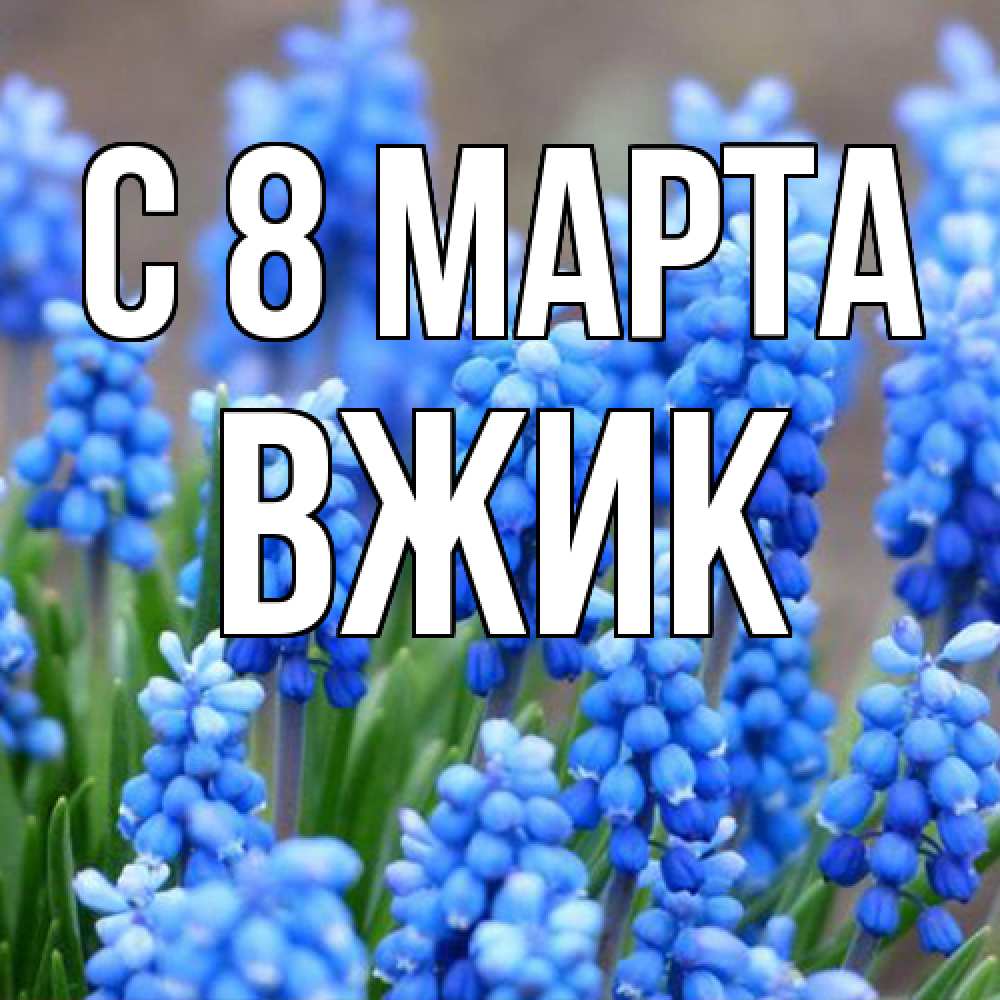 Открытка на каждый день с именем, Вжик C 8 МАРТА Поздравительная открытка для женщин с цветами на праздничную дату Прикольная открытка с пожеланием онлайн скачать бесплатно 