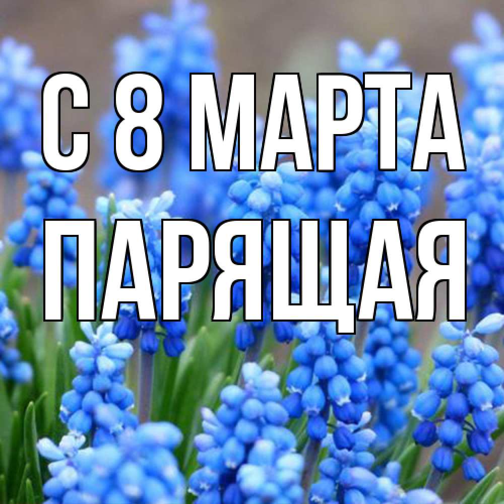 Открытка на каждый день с именем, Парящая C 8 МАРТА Поздравительная открытка для женщин с цветами на праздничную дату Прикольная открытка с пожеланием онлайн скачать бесплатно 