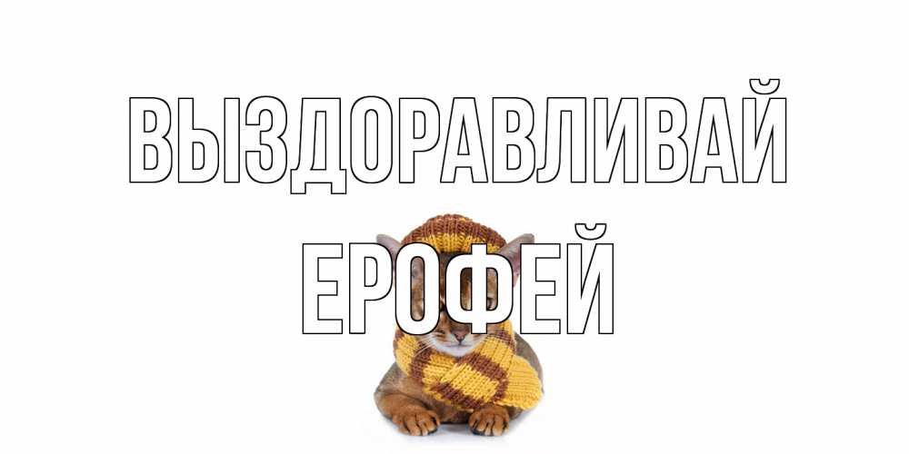 Открытка на каждый день с именем, Ерофей Выздоравливай родные не болейте Прикольная открытка с пожеланием онлайн скачать бесплатно 