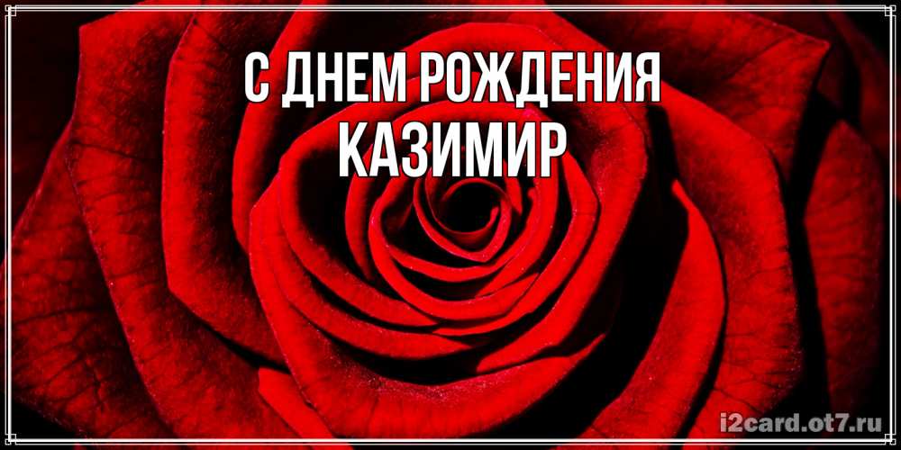 Открытка на каждый день с именем, Казимир С днем рождения алая роза Прикольная открытка с пожеланием онлайн скачать бесплатно 