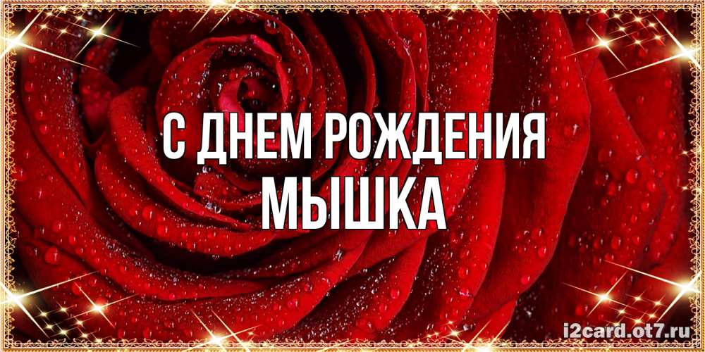 Открытка на каждый день с именем, Мышка С днем рождения роса на розе блестящая в лучах солнца Прикольная открытка с пожеланием онлайн скачать бесплатно 