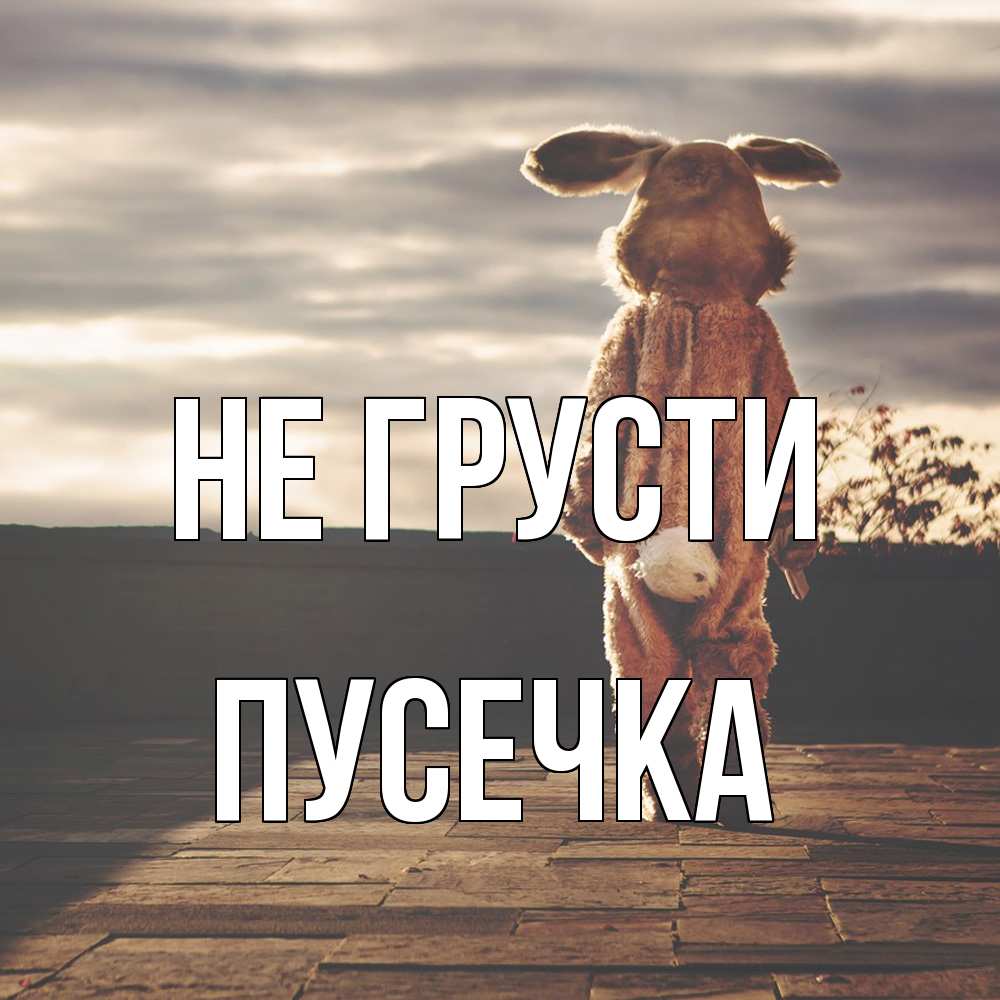 Открытка на каждый день с именем, Пусечка Не грусти со спины Прикольная открытка с пожеланием онлайн скачать бесплатно 