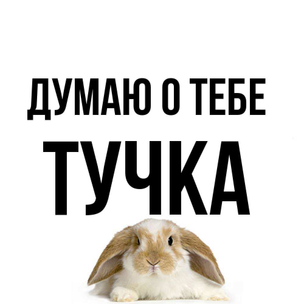 Открытка на каждый день с именем, Тучка Думаю о тебе подписать своими руками онлайн Прикольная открытка с пожеланием онлайн скачать бесплатно 
