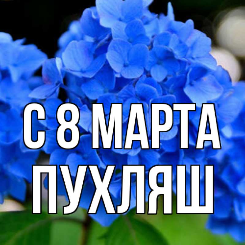 Картинка C 8 МАРТА, пухляш