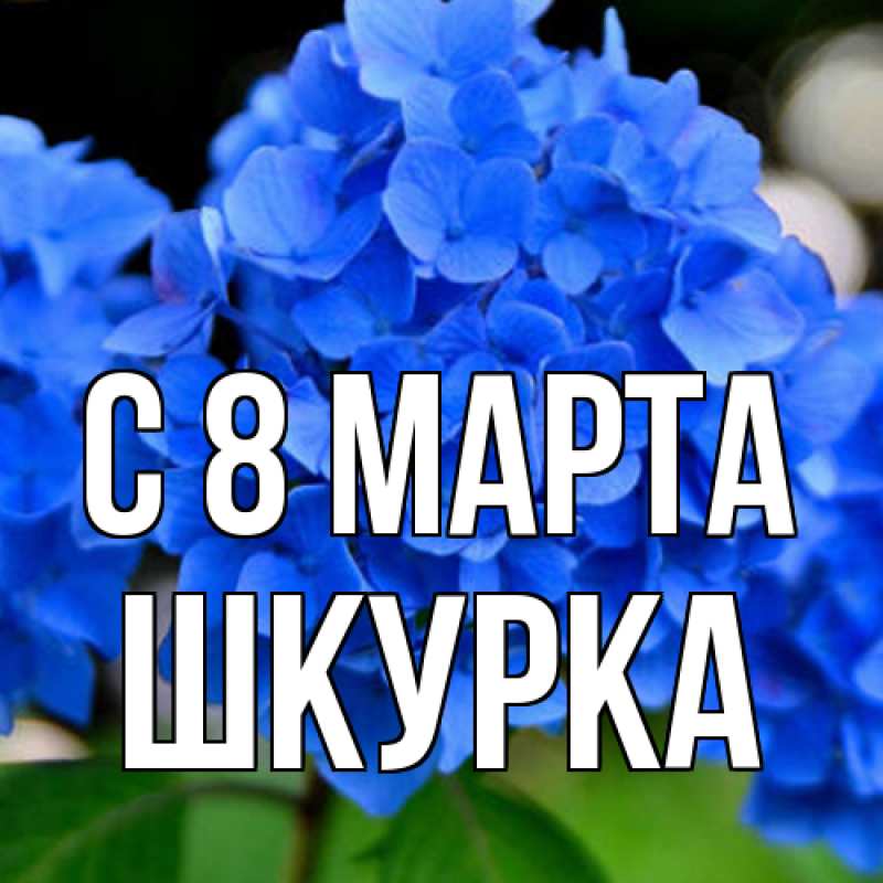 Открытка с именем, Шкурка, C 8 МАРТА