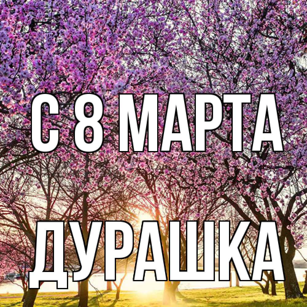 Открытка на каждый день с именем, Дурашка C 8 МАРТА международный женский день Прикольная открытка с пожеланием онлайн скачать бесплатно 